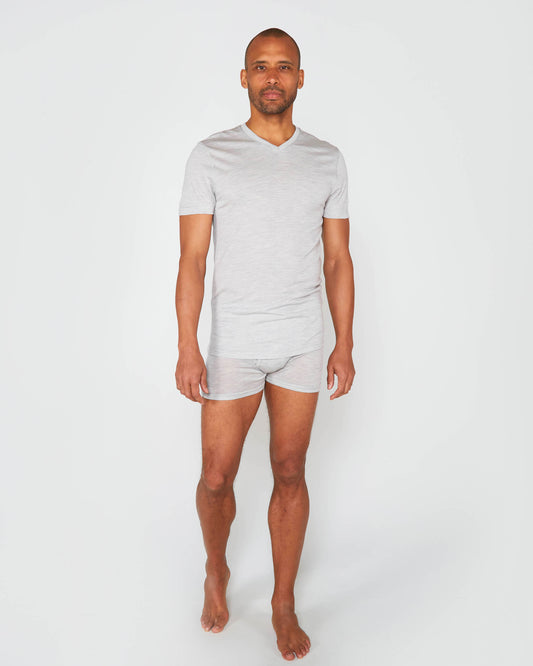 INVICTUS SS V-NECK GREY